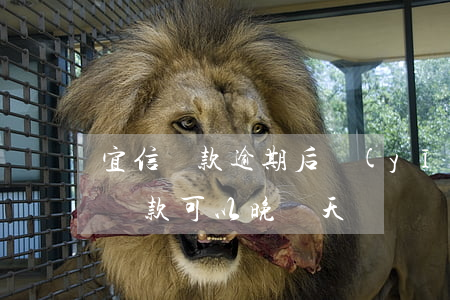 宜信貸款逾期后應(yīng)還在那(宜信貸款可以晚幾天還嗎)