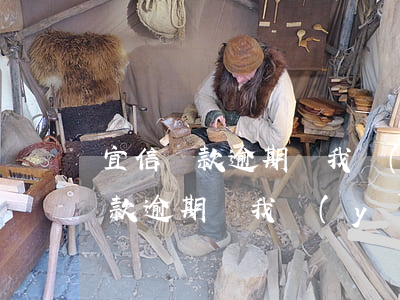 宜信貸款逾期讓我應(yīng)訴(宜信貸款逾期讓我應(yīng)訴)