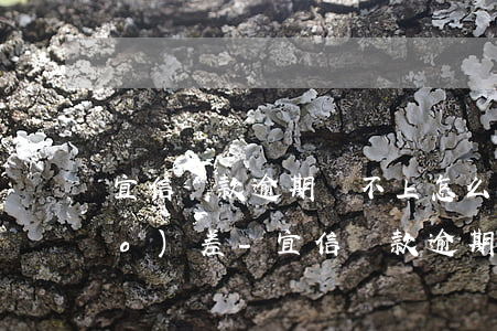 宜信貸款逾期還不上怎么辦說要調(diào)差-宜信貸款逾期還不上怎么辦說要調(diào)差額度