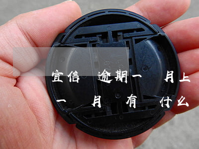 宜信貸逾期一個月上門會怎么樣-宜信逾期一個月沒有還什么時候上門催款