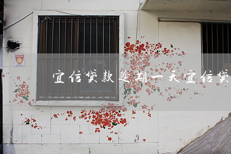 宜信贷款逾期一天(宜信贷款逾期一天)