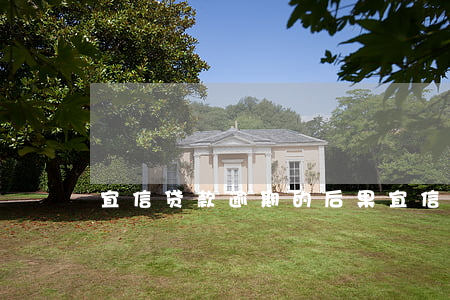 宜信贷款逾期的后果(宜信贷最新消息)