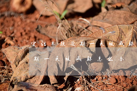 宜信车款逾期一天被威胁怎么办(宜信车款逾期一天被威胁怎么办)