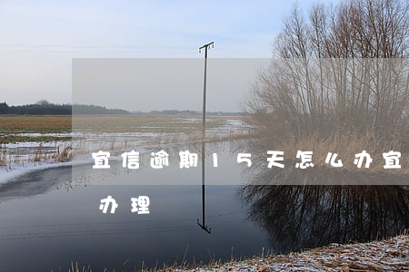 宜信逾期15天怎么办(宜信逾期15天怎么办理)