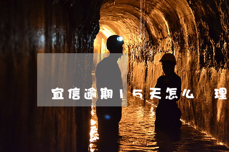 宜信逾期15天怎么處理