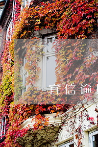 宜信逾期5年要起訴(宜信五年后起訴)
