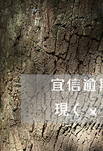 宜信逾期一年了沒有還款(宜信逾期兩年多了現(xiàn)在找了我又讓還錢)
