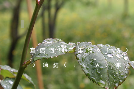 宜信逾期三年發(fā)短信說(shuō)凍結(jié)賬戶-宜信逾期三年發(fā)短信說(shuō)凍結(jié)賬戶是真的嗎