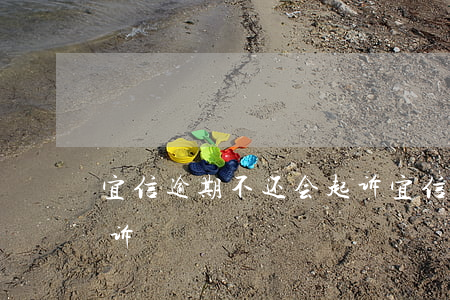 宜信逾期不还会起诉(宜信多长时间不还会起诉)