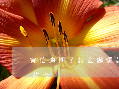 宜信逾期了怎么辦還款(宜信逾期了怎么辦還款卡)