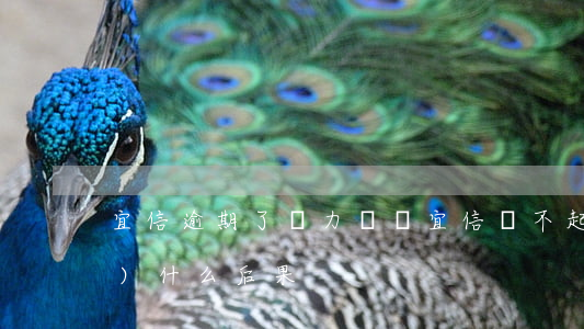 宜信逾期了無力償還(宜信還不起會(huì)什么后果)