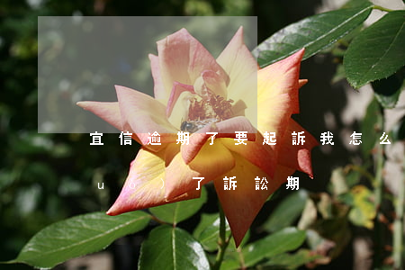 宜信逾期了要起訴我怎么辦 宜信起訴 過(guò)了訴訟期