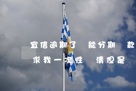 宜信逾期了還能分期還款嗎(宜信逾期4年要求我一次性還清但是換不上)