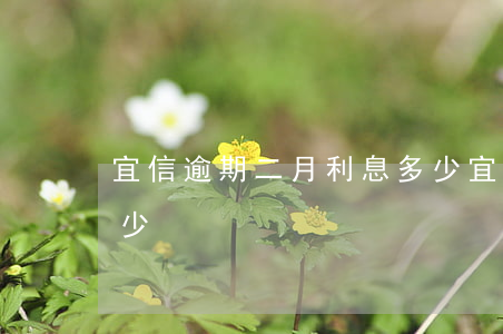 宜信逾期二月利息多少(宜信逾期二月利息多少)