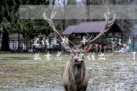 宜信逾期兩年說轉(zhuǎn)給外企什么意思-宜信出問題了?帳務(wù)已經(jīng)轉(zhuǎn)到催收公司