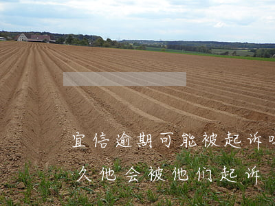 宜信逾期可能被起诉吗 宜信金融一般逾期多久他会被他们起诉