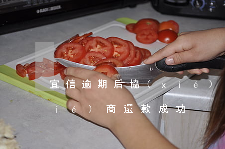 宜信逾期后協(xié)商還款(宜信協(xié)商還款成功)