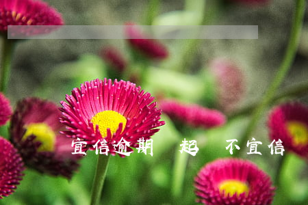宜信逾期會起訴不(宜信為什么不起訴)