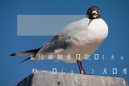 宜信逾期未還款會(huì)怎么樣(宜信逾期一個(gè)月沒有還什么時(shí)候上門催款)