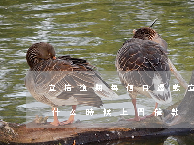 宜信逾期每個月還款(宜信逾期一個月沒有還什么時候上門催款)