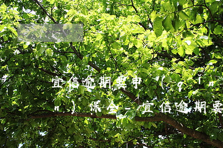 宜信逾期要申請(qǐng)資產(chǎn)保全-宜信逾期要申請(qǐng)資產(chǎn)保全嗎