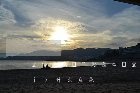 宜信逾期還不起怎么辦(宜信還不起會(huì)什么后果)