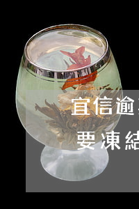 宜信逾期還對(duì)公賬戶靠譜嗎(宜信要凍結(jié)我的賬戶)