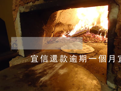 宜信還款逾期一個月(宜信逾期了幾個小時)