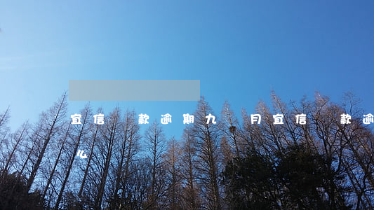 宜信還款逾期九個月(宜信貸款逾期還不上怎么辦)