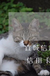 宜城信用卡逾期業(yè)務(wù)(宜城信用卡逾期業(yè)務(wù)怎么辦)