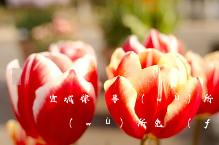 宜城律師事務(wù)所在哪里(宜昌律師事務(wù)所免費(fèi)咨詢)