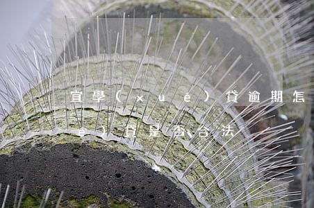宜學(xué)貸逾期怎么還款(宜學(xué)貸是否合法)