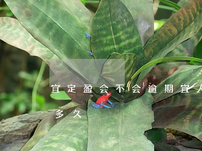 宜定盈会不会逾期(宜人财富宜定盈退出需要多久)