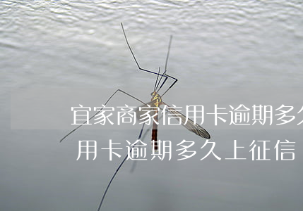 宜家商家信用卡逾期多久上征信(宜家商家信用卡逾期多久上征信記錄)