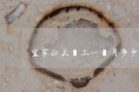 宜家正式員工一個月多少錢(宜家員工價)