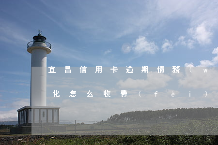 宜昌信用卡逾期債務(wù)優(yōu)化怎么收費(fèi)