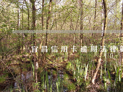 宜昌信用卡逾期法律顧問(宜昌律師咨詢)