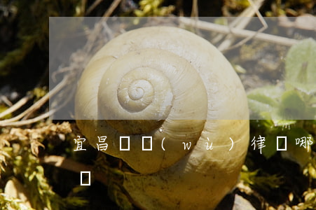 宜昌債務(wù)律師哪個好(宜昌最好的律師)