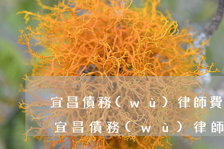 宜昌債務(wù)律師費(fèi)用多少(宜昌債務(wù)律師費(fèi)用多少)