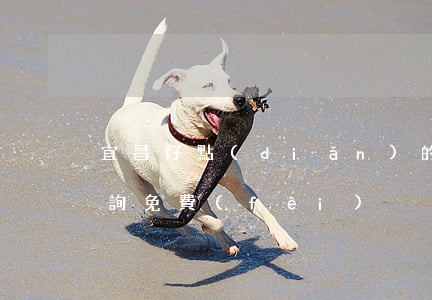 宜昌好點(diǎn)的律師(宜昌市律師咨詢免費(fèi))