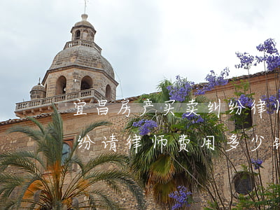 宜昌房产买卖纠纷律师怎么收费(房产过户纠纷请律师费用多少钱)