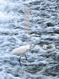 宜昌捷信貸款利率(宜信車抵押貸款利率)