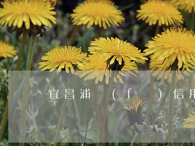 宜昌浦發(fā)信用卡利息