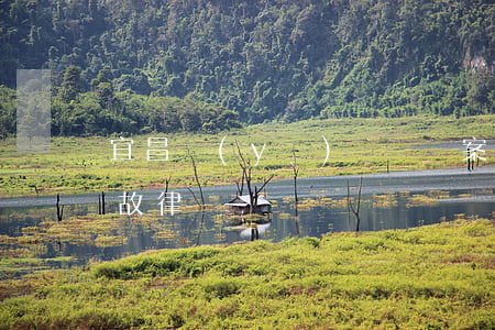 宜昌醫(yī)療糾紛案件律師(宜昌交通事故律師)