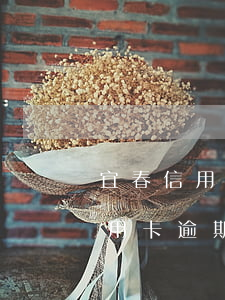 宜春信用卡逾期怎么申请停息挂账-宜春信用卡逾期怎么申请停息挂账的