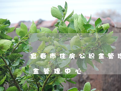 宜春市住房公积金管理中心(宜春市住房公积金管理中心)