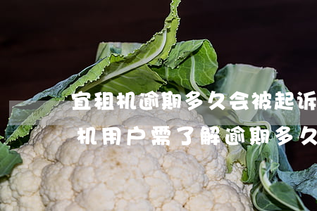 宜租机逾期多久会被起诉，警惕逾期风险：宜租机用户需了解逾期多久会面临被起诉的可能性