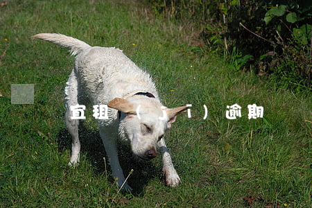 宜租機(jī)逾期兩個(gè)月
