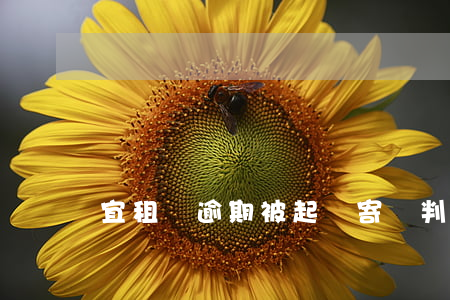 宜租機逾期被起訴寄來判決書(慧租機民事判決書)