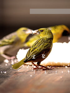宜聚網(wǎng)逾期的錢還能拿回來(lái)嗎